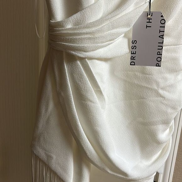Dress THE POPULATION Crepe Fringe Minidress party cocktail Swiftie Sm NWT - Picture 6 of 15